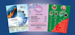design eye catching unique flyers and brochure