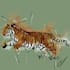 draw animals in sketchy lineart with watercolour