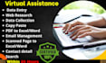 be your professional virtual assistance