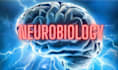 be your online tutor for neurobiology