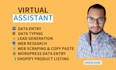 be personal virtual assistant for excel data entry, copy paste, typing