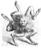 invoke a djinn to help in every case