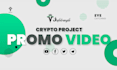 create top quality promo videos for your crypto project