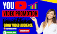 do fast organic youtube video promotion