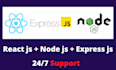 develop  your website using reactjs node js and express js