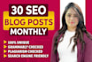 write 30 SEO blog posts articles monthly with images