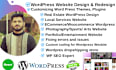 offer affordable wordpress website design, website redesign and create website