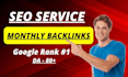 provide monthly SEO service and backlinks for google rankings