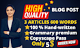 write SEO optimized blogs and articles