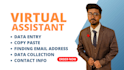 do excel data entry, data mining, copy paste typing work, finding emails adress