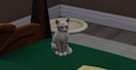 play the sims 2 3 4 medieval and mysims