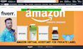 establish your amazon private label store