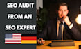 do a professional and comprehensive SEO audit including manual website analysis