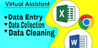 do professional data entry, collection and cleaning