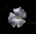 do matlab modeling, photography, content creation,travel services and art