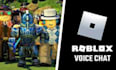 help you to get roblox vc