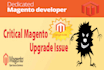 fix critical magento issue