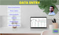do fast and accurate data entry, visualization in low prices