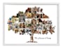 create family tree photo collage