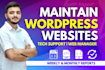 do wordpress maintenance, provide website support or help