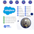 provide salesforce customization, development, integration