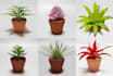 make realistic 3d plants with pbr textures