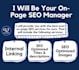 be on page SEO optimization expert for your website
