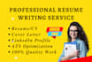 write professional resume, cv and cover letter