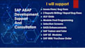 do sap abap development and consultation