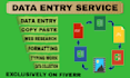 do excel data entry and web research and data cleaning