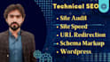 do a full technical SEO audit of your website