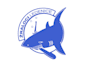 design high quality aviation logo in high definition