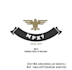 do professional top class logo animation