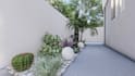 design 3d,2d garden, yard,landscape,pool,patio