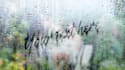 write your love message on a rainy window glass