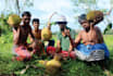 make natural village cooking video for your youtube
