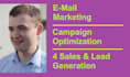 provide 1 hour of email marketing optimization
