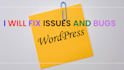 fix wordpress errors, issues and bugs in website, help in wp