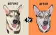 do professional embroidery digitizing into dst,pes in 1 hour