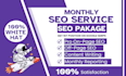 complete monthly seo service package to rank your website