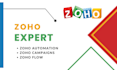 be your zoho CRM consultant and developer