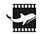 design professional dolphin logo
