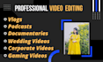 do professional video edit, youtube tiktok video editing in 24 hr