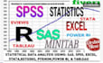 do statistical data analysis using r, python, stata and spss