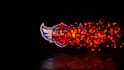 create fire youtube intro 4k in 24 hours