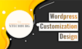 do wordpress theme customization installation demo import