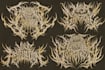 design brutal logo with heavy weight detail