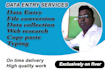 do data entry, copy paste, data collection, english typing