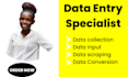 be your accurate and efficient data entry operator