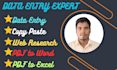 do great data entry, web research, copy paste, ms office